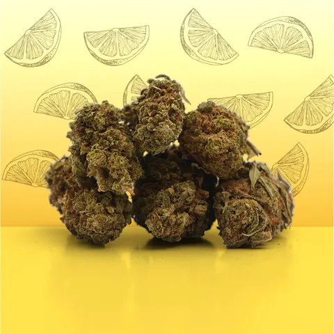 Lemon Small Buds — fleur de CBD — vue principale