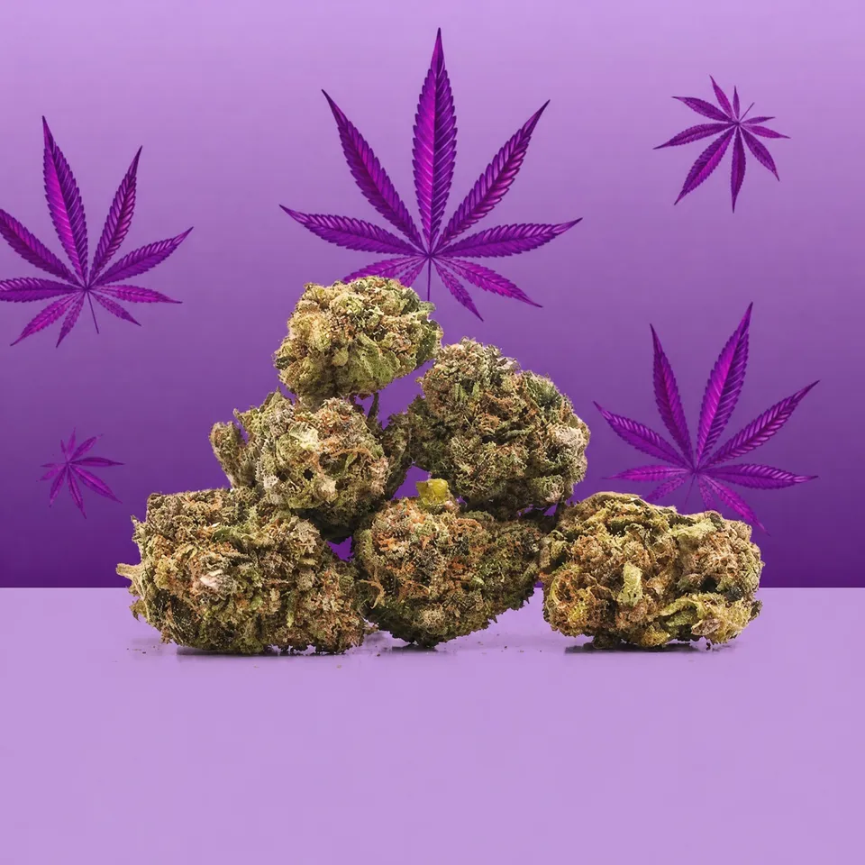 Purple Haze Small Buds — fleur de CBD — vue principale