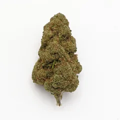 White Widow — fleur de CBD indoor — vue 3 sur 3