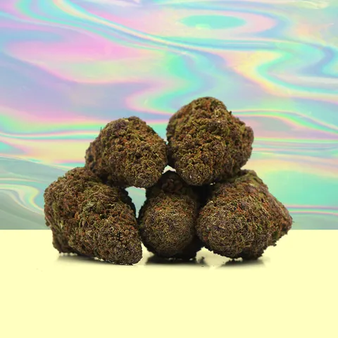 Sour Diesel — fleur de CBD greenhouse — vue principale