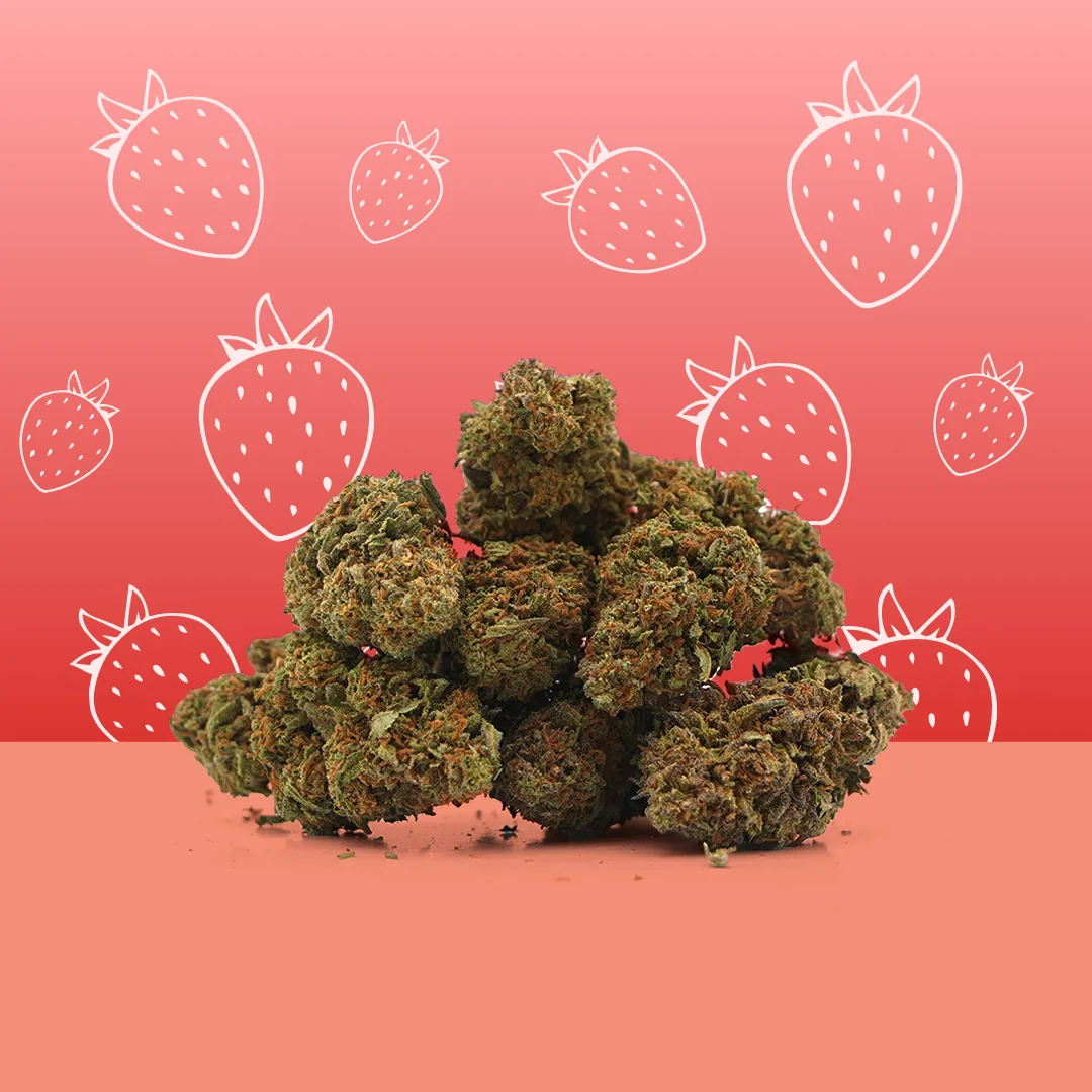 Strawberry — fleur de CBD indoor — vue principale