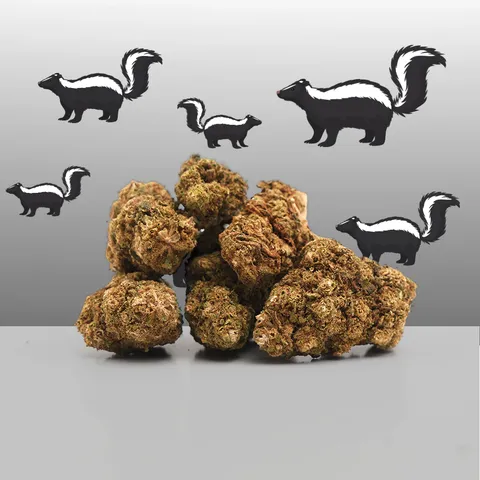 Super Skunk — fleur de CBD greenhouse — vue principale