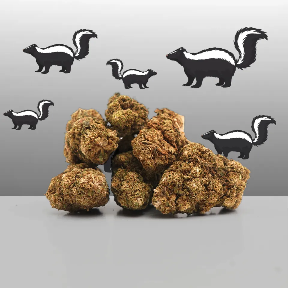 Super Skunk — fleur de CBD greenhouse — vue principale