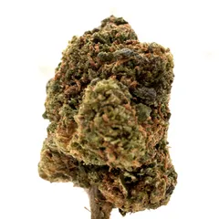 V1 Super Silver Haze — fleur de CBD indoor — vue 2 sur 4