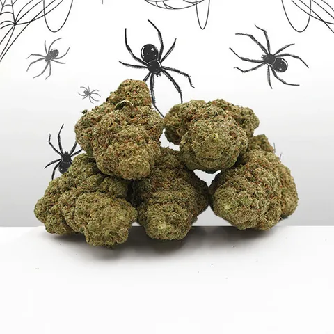 White Widow Small Buds — fleur de CBD — vue principale
